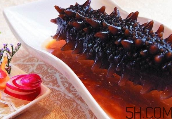 海參怎么挑？海參怎么選購？