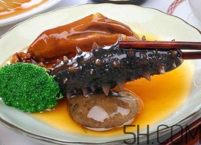 海參是海鮮嗎？海參是動(dòng)物還是植物？