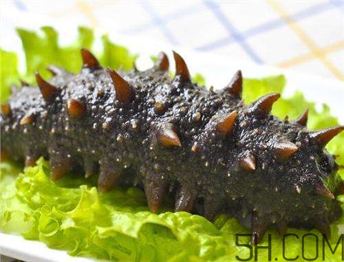 海參哪些部位不能吃？海參的禁忌人群