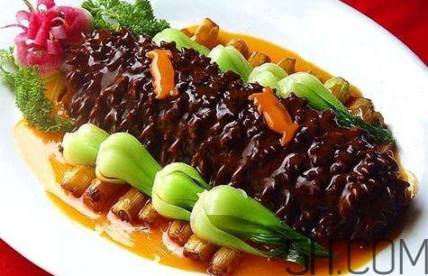 海參是高蛋白食物嗎？海參是素食嗎？