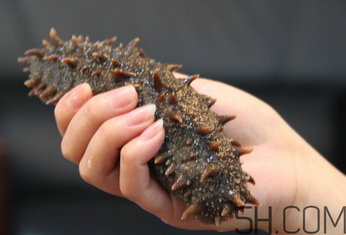 海參能和西紅柿一起吃嗎？海參和什么一起吃最好？