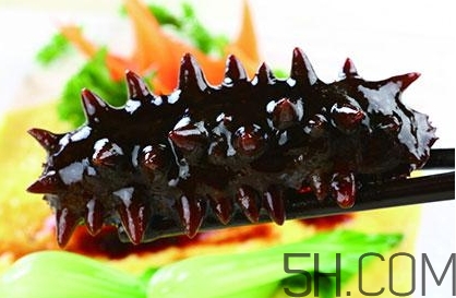 海參是高蛋白食物嗎？海參是素食嗎？