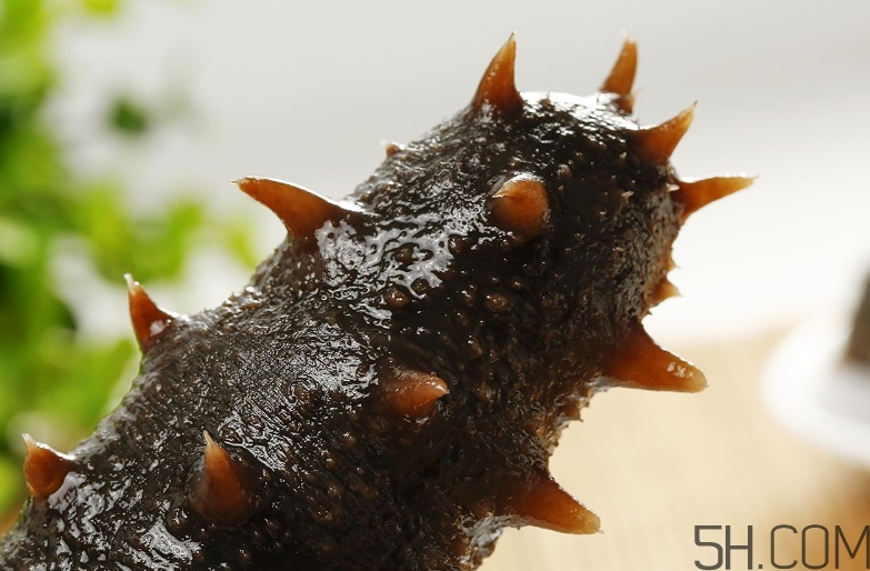 術(shù)后能吃海參嗎？術(shù)后吃海參的功效與作用