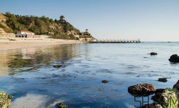 海參顏色深好還是淺好？海參顏色發(fā)白時怎么回事？