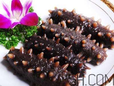 海參是高蛋白食物嗎？海參是素食嗎？