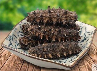 海參刺多好還是刺少好？海參沒(méi)有刺是怎么回事？
