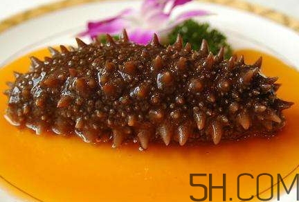 海參怎么挑？海參怎么選購？