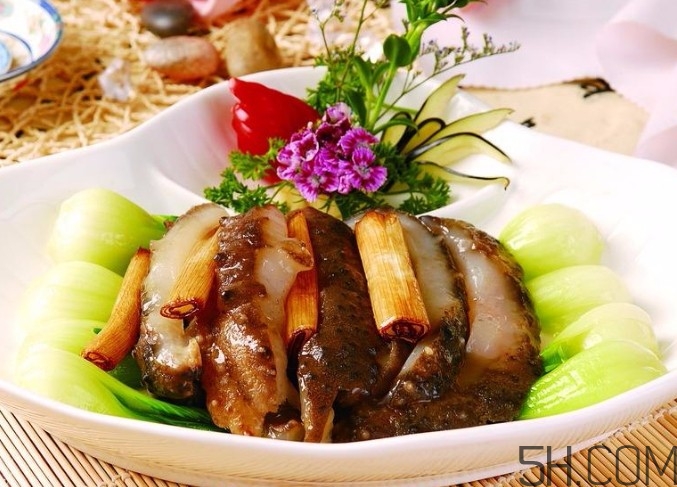 海參是高蛋白食物嗎？海參是素食嗎？