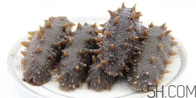 海參是越大越好嗎？海參的生長年限與營養(yǎng)價(jià)值有關(guān)嗎？