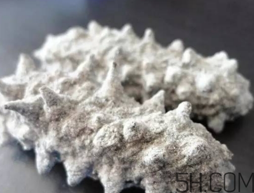 海參顏色深好還是淺好？海參顏色發(fā)白時怎么回事？