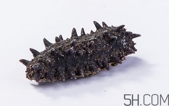 海參是越大越好嗎？海參的生長年限與營養(yǎng)價(jià)值有關(guān)嗎？