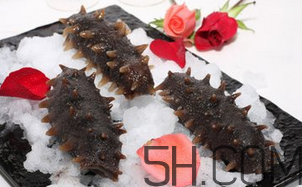 海參是酸性還是堿性？海參是涼性還是熱性？