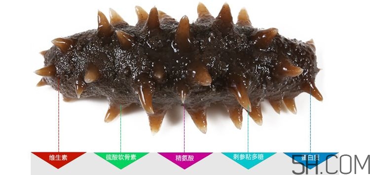 海參哪些部位不能吃？海參的禁忌人群