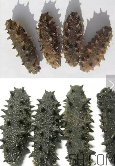 海參顏色深好還是淺好？海參顏色發(fā)白時怎么回事？