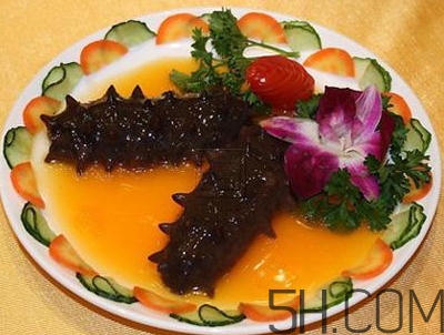 海參的吃法大全 海參怎么做好吃 海參的吃法大全 海參怎么做好吃