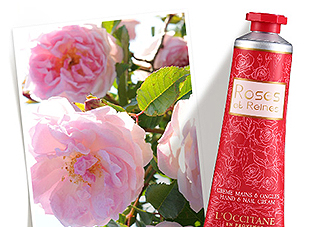 歐舒丹玫瑰皇后潤手霜怎么樣？好用嗎？