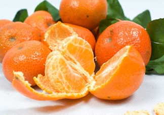 沙糖桔什么時候施鉀肥？沙糖桔什么時候種植