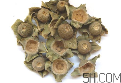 柿蒂治打嗝怎么煮水？柿蒂的功效與作用