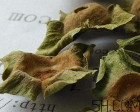 柿蒂治打嗝怎么煮水？柿蒂的功效與作用