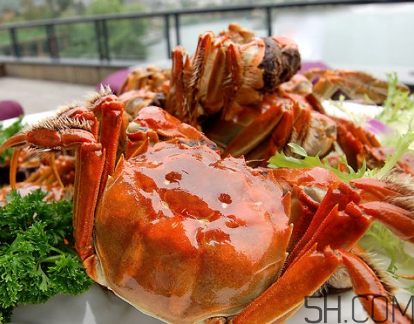 大閘蟹可以和南瓜一起吃嗎？螃蟹不能和什么水果一起吃？