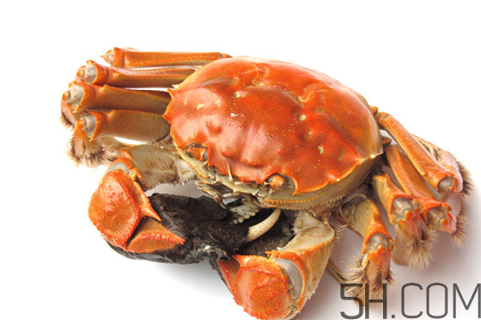 大閘蟹可以和南瓜一起吃嗎？螃蟹不能和什么水果一起吃？