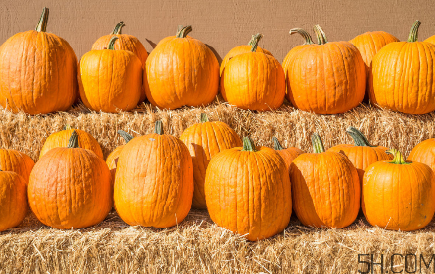 大閘蟹可以和南瓜一起吃嗎？螃蟹不能和什么水果一起吃？