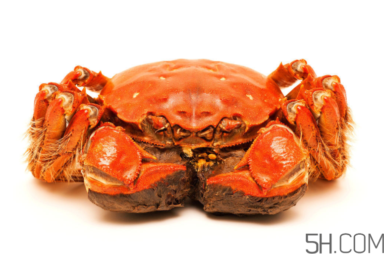 大閘蟹和南瓜一起吃會(huì)有什么后果？大閘蟹和南瓜一起吃要注意什么？