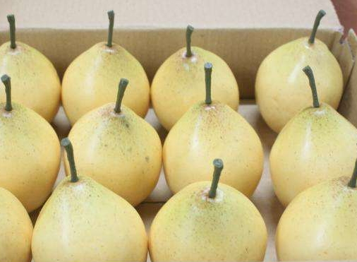 中秋節(jié)可以送水果嗎？中秋節(jié)送什么水果？