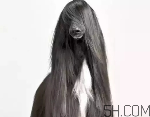 發(fā)蠟可以帶上飛機(jī)嗎？發(fā)蠟可以帶上高鐵嗎