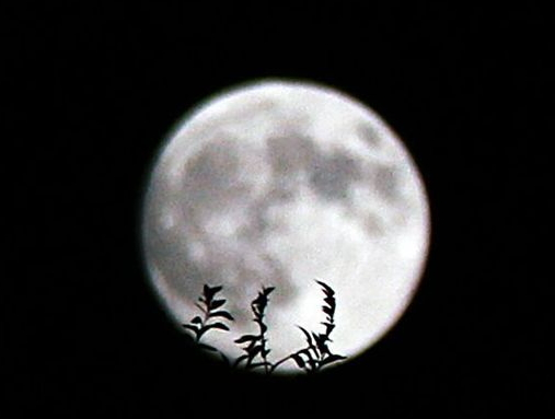 中秋節(jié)能上墳嗎？中秋節(jié)上墳買什么水果？