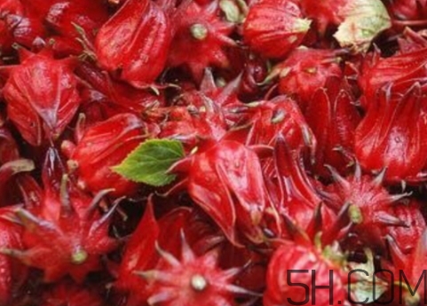 洛神果是什么？洛神果和洛神花區(qū)別