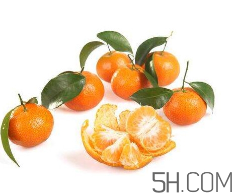 沙糖桔大的好吃還是小的？沙糖桔什么時(shí)候成熟