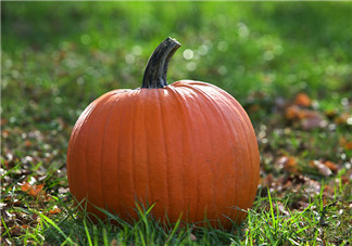 南瓜和桃子一起能長期吃嗎？吃南瓜皮膚變黃怎么辦？