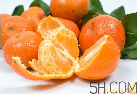 沙糖桔什么時候施鉀肥？沙糖桔什么時候種植