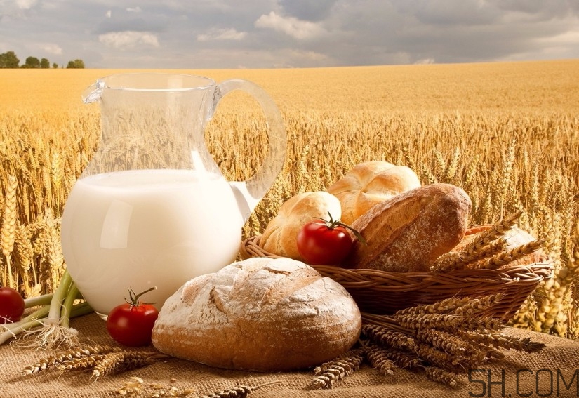 純牛奶好還是早餐奶好？純牛奶和早餐奶有什么區(qū)別