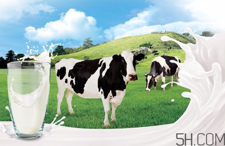 早上喝牛奶拉肚子是怎么回事？早上喝牛奶拉肚子怎么辦？