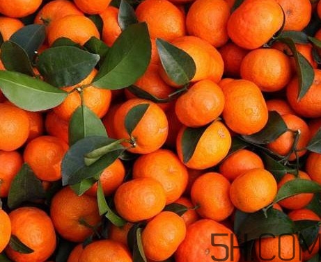 沙糖桔有籽嗎？沙糖桔有什么營養(yǎng)價值