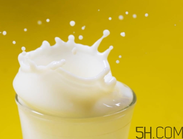 純牛奶好還是早餐奶好？純牛奶和早餐奶有什么區(qū)別