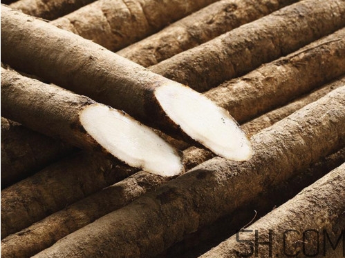 牛蒡是牛大力嗎？牛蒡和牛大力的區(qū)別