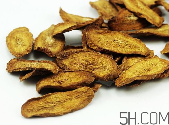 牛蒡是什么東西？牛蒡有什么功效？