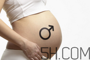 懷男孩和懷女孩的特征是什么？孕婦肚子硬生男生女？