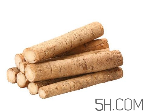 牛蒡是什么東西？牛蒡有什么功效？