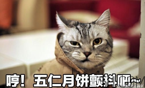 十仁月餅是哪十仁？十仁月餅好吃嗎