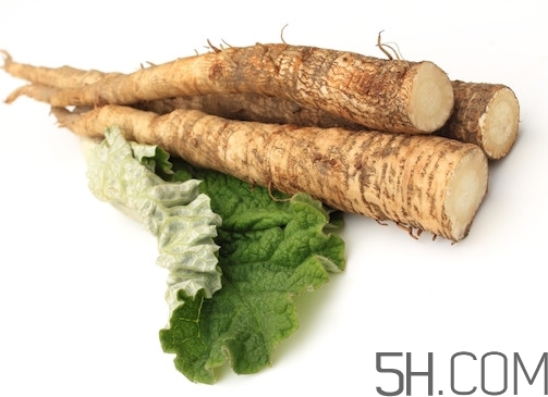 牛蒡是什么東西？牛蒡有什么功效？