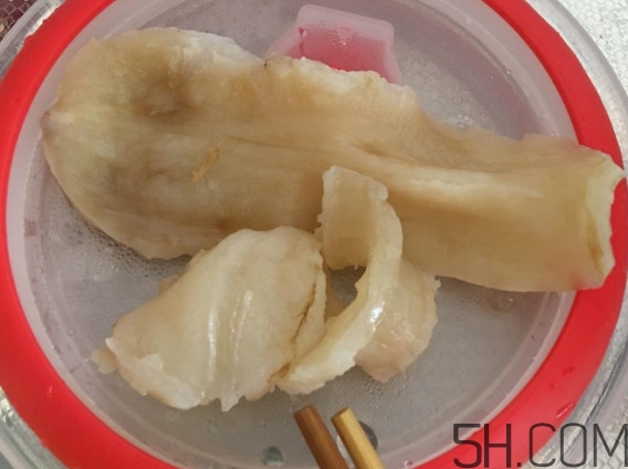 魚膠是魚泡嗎？魚膠是海鮮嗎