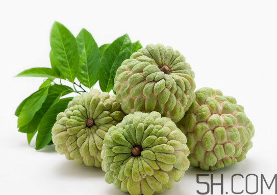 2017釋迦多少錢一斤?2017釋迦價格