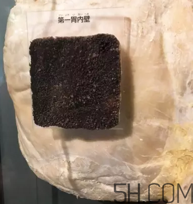牛百葉和毛肚是一個(gè)東西嗎？牛百葉上面有層黑皮能吃嗎？