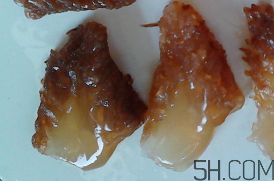 海蜇頭怎么清洗？海蜇頭是海鮮嗎