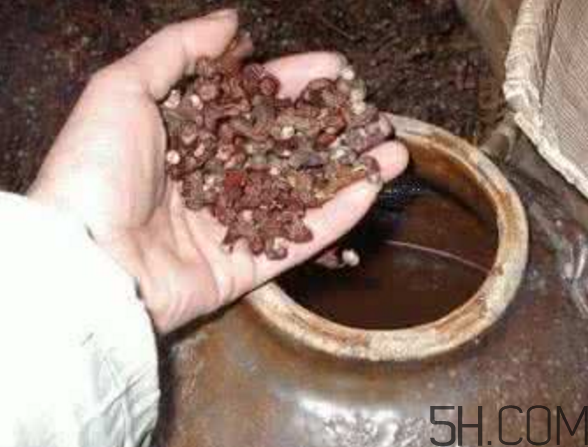 拐棗能泡酒嗎？拐棗能和蜂糖一起泡酒嗎？