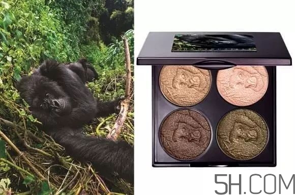 2017秋季新品眼影盤有哪些_試色測評 2017秋季新品眼影盤有哪些_試色測評